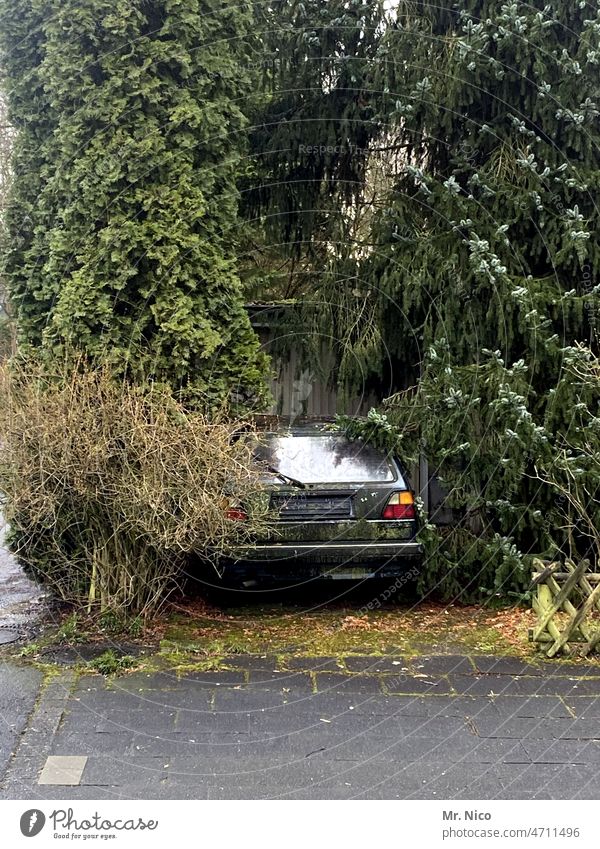 Long-term parking Car car Parking lot turned off Vehicle shrubby become overgrown Foliage plant proliferate Wrecked car rust bucket disused Hiding place