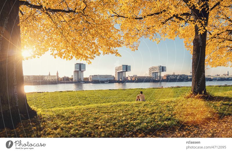 autumn the poller Meadow in cologne germany at the rhine shore crane houses eve city dom rheinauhafen architecture cologne cathedral sun clouds sky sunbeams