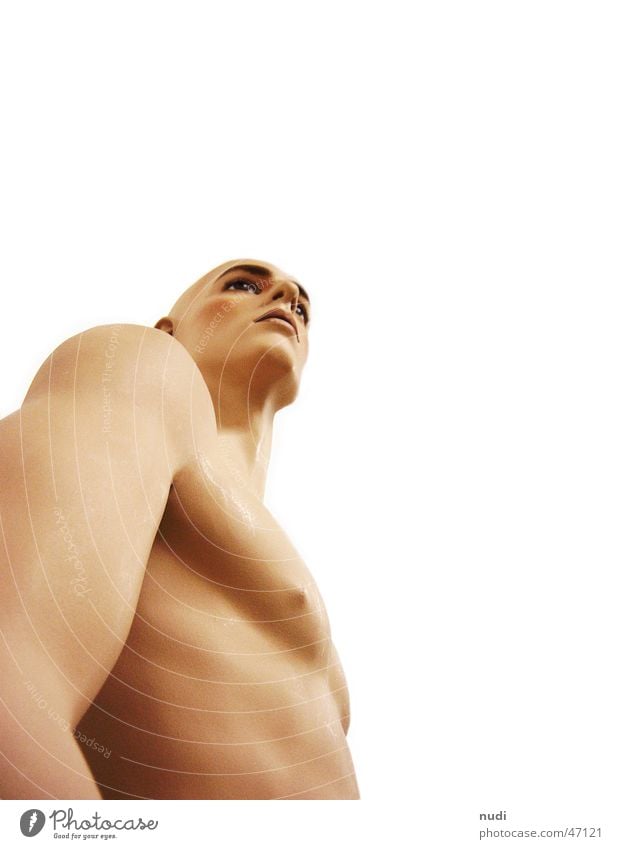 naked Man Naked Worm's-eye view Nude photography Human being Body Chest Stomach Arm Head Nose Eyes Musculature nude Male nude