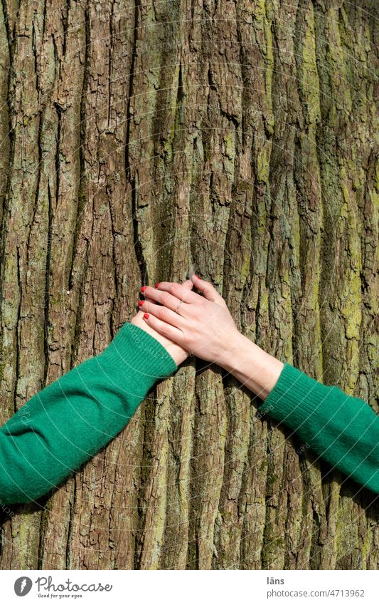 hand in hand hands at the same time Touch Hold hands comprehensive Tree tree-loving Related