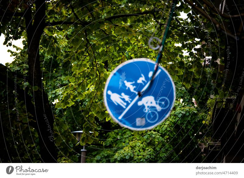 Berlin sign forest in the trees with quite a lot of green leaves. Allowed for mothers and children, scooter and dog, and bicycle. Summer Green Sky Nature Blue