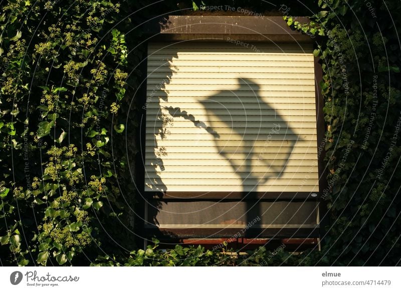 Shadow of a street lamp on a window closed with a blind, surrounded by green climbing plants / shadow play / living in the greenery Venetian blinds Window