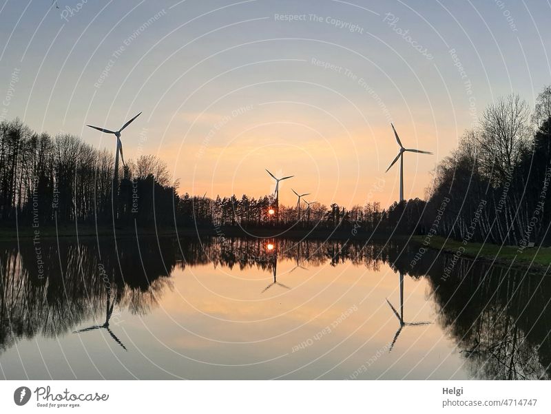 Wind turbines and trees on the lake at sunset with reflection windmills Wind energy plant Lake Water Lakeside Sunset Evening evening mood Beautiful weather