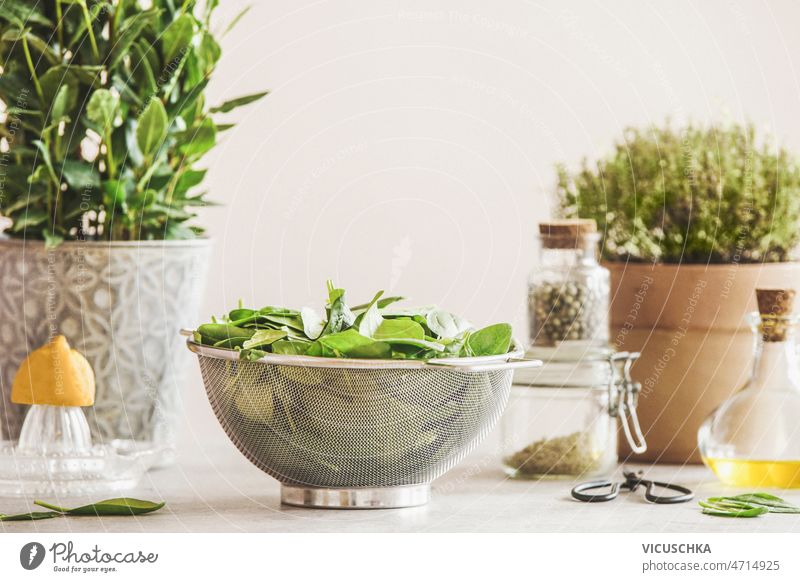 Raw spinach leaves in sieve with ingredients raw potted herbs lemon olive oil green pepper herbal salt glass jar kitchen table white wall background front view