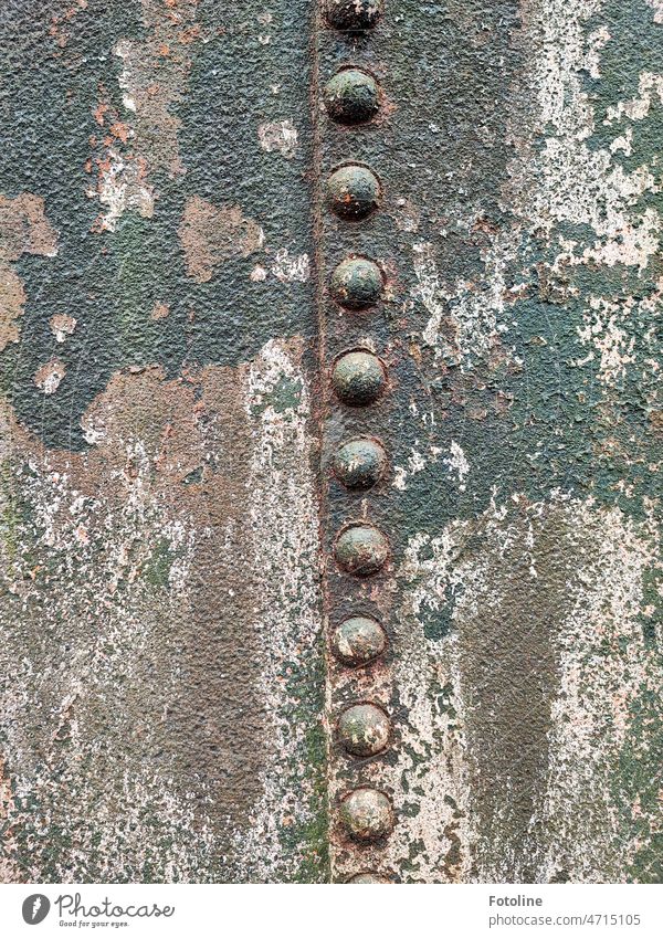 Rusty detail. Rivets on a metal plate and everything is exposed to weathering. Metal disk rusty Stud Old Exterior shot Colour photo Brown Detail Day Close-up