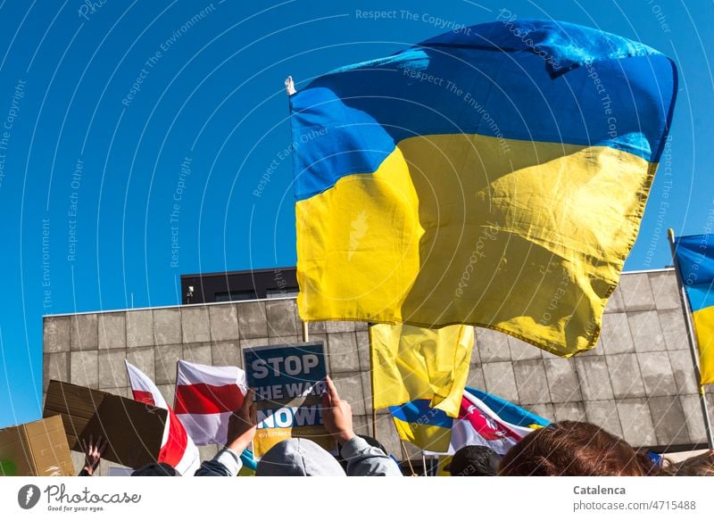 Waving flags of Ukraine Sky Demo Town Architecture Manmade structures European Union slew ehen Flag War soon Yellow Politics and state Sign Demo sign