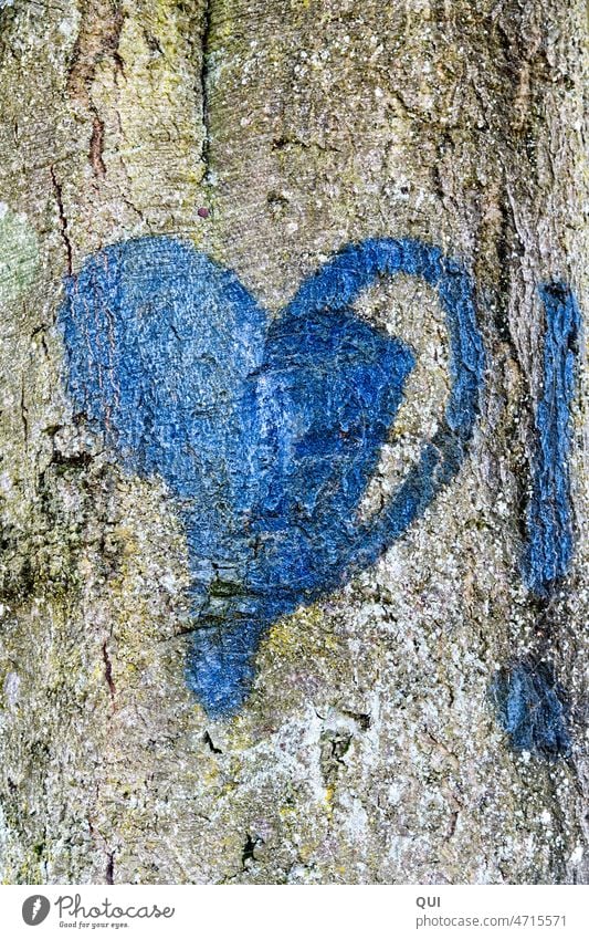 The blue "Heart!"  ... Tree bark Tree trunk Beech tree Nature Wood symbol Love Sign Exclamation mark Graffiti Emotions Infatuation Declaration of love