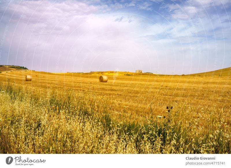 Country landscape near Matera and Gravina di Puglia Basilicata Europe Italy agriculture bale color country day field nature outdoor photography road rural