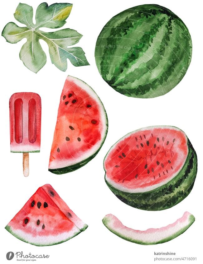 Slices of red juicy watermelon and ice cream. Watercolor tropical fruit illustration Botanical Cut Decoration Element Exotic Fruitarian Hand drawn Healthy