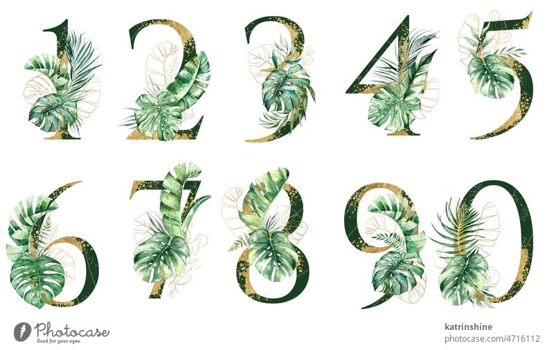 Golden numbers decorated with green and golden tropical leaves Watercolor isolated illustration Botanical Character Drawing Element Exotic Hand drawn Holiday