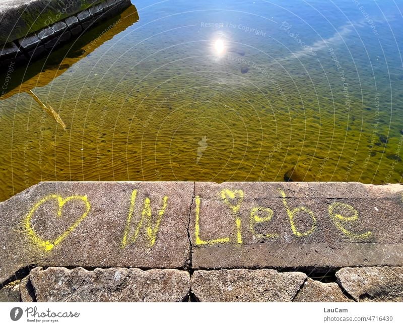 In love - spring feelings on the sunny lakeside Love in love Lake bank Graffiti Sympathy Display of affection Water Lakeside Sun reflection Declaration of love