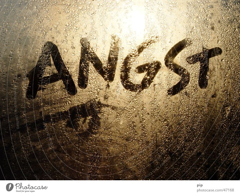 anxiety Typography Fear Distress Concern Timidity Frightening Grief Fear of death Sunlight Drops of water Cold Wet Damp Pane Window Dark Light Panic Dangerous