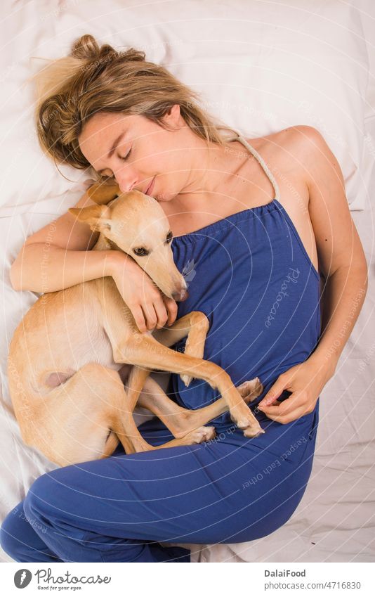 Woman with her greyhound dog in white bed adorable animal bedroom caucasian cute domestic female friend friendship girl happy human love lying pedigree people