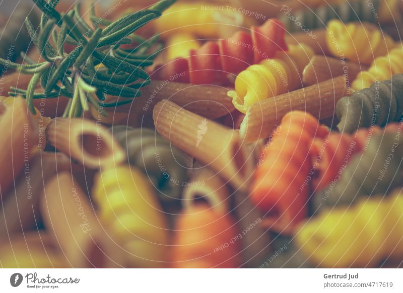 Colorful pasta before preparation with fresh rosemary Eating food inboard Noodles Still Life Food Nutrition dietary change Food photograph Healthy Eating