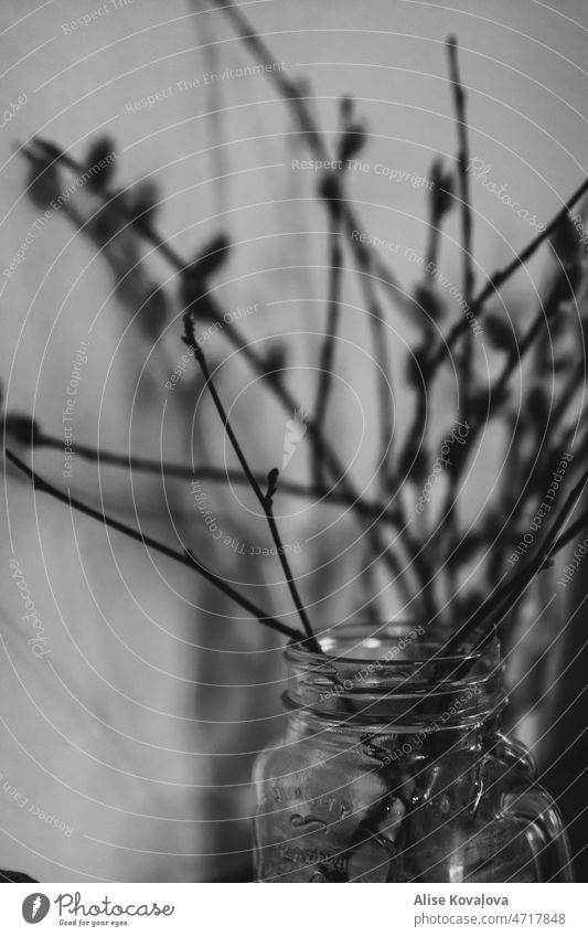 don’t drink this, branches in a jar Glass jar black and white blackandwhite shadow dark blurry background Twigs and branches