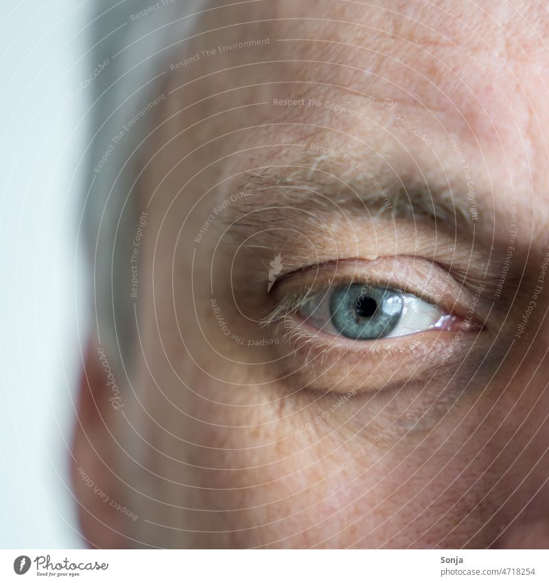 Close up of male gray eye Eyes Close-up Man Pupil Detail iris Iris Skin Vision Lens Senses Eyebrow Eyelash Looking Wrinkles Eye colour Gray 50 plus Pore