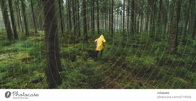 man with yellow rain jacket run in to the dark pine tree forest autumn raincoat evil fairytale fear hike hiking lonely mood path traveler wildlife woodland mist