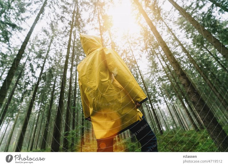 man with yellow rain jacket look to the tree tops in a forest autumn raincoat evil fairytale fear hike hiking lonely mood path traveler wildlife woodland mist