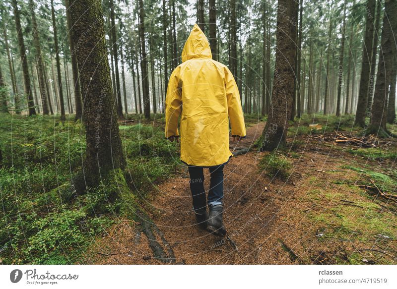 hiker with yellow raincoat walks in to the forest at autumn evil fairytale fear hiking lonely mood path traveler wildlife woodland mist trail looking jacket