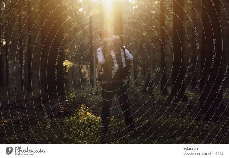 Hiker standing in the forest and watching sunset over trees nature landscape spring sunlight summer needlewood idyllic environment trunk sunshine europe