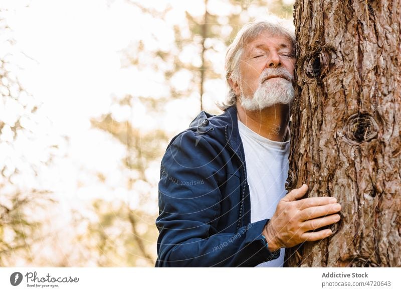 Satisfied elderly male hugging tree in forest man eyes closed embrace nature autumn calm harmony senior aged countryside pensioner season woods environment