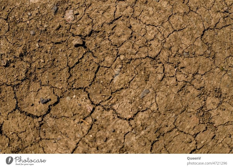 Dried cracked earth soil Ground Earth Global warming Environment Environmental pollution Agriculture Climate change CO2 emission Brown Dry Skin Air pollution