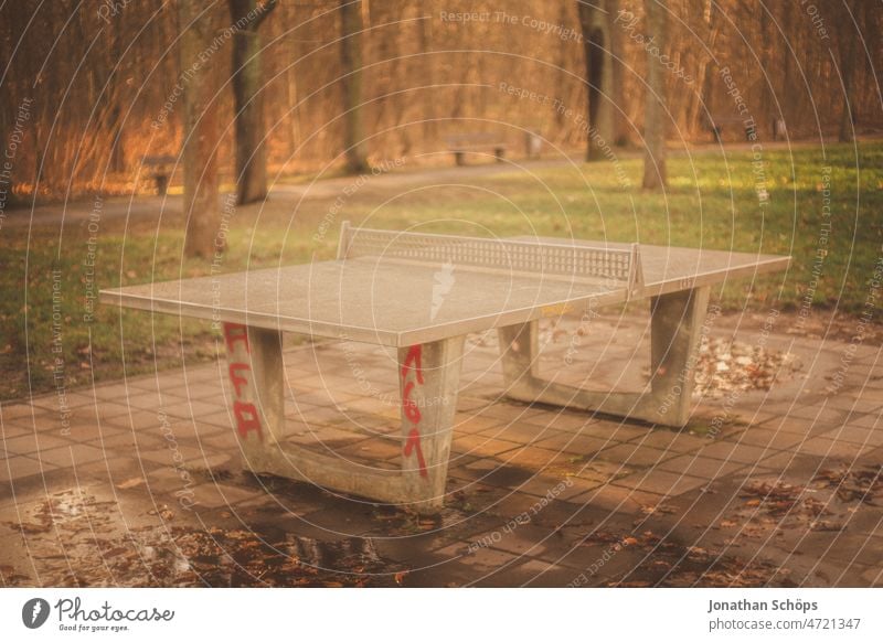 Table tennis table in forest Forest Back-light outdoor Outdoor plate stone slab Places Sports Public free time Chemnitz Leisure and hobbies Playing