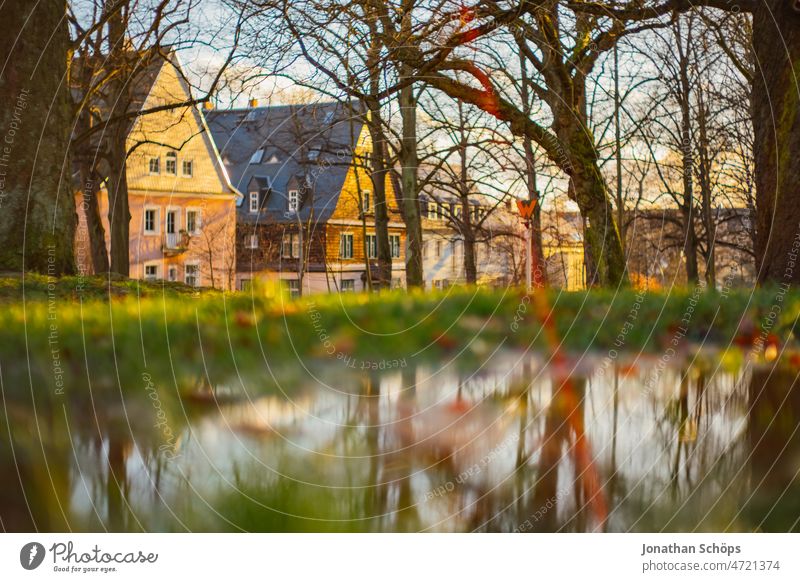 Houses on edge of forest behind puddle on meadow with reflection of trees in sunlight Edge of the forest Detached house Home Puddle Deluge Reflection Meadow