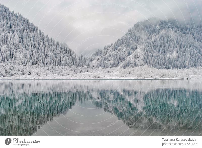 Mountain lake in winter. Snow-covered mountains are reflected in the water cold frozen chilly winter time frost freezing hoarfrost whether Hill slope clear