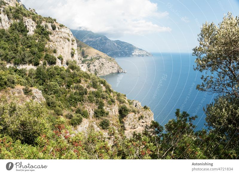 Amalfi Coast Campania Italy Ocean coast Landscape Nature Bushes trees Dry Blue Horizon Clouds Vantage point wide bank White Stone Rock leaves foliage branches
