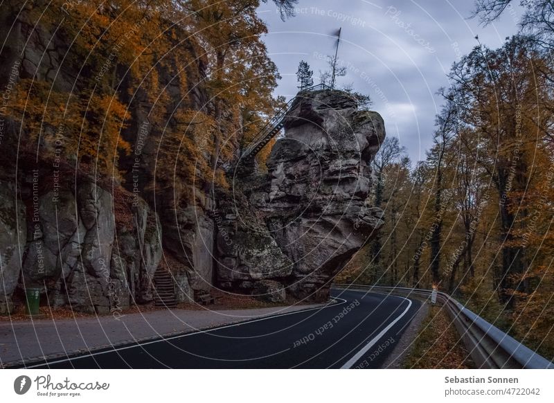 Road through Müllerthal in autumn evening with rock formation near Berdorf, Luxembourg Street Forest Rock Nature Landscape Autumn Luxemburg Europe European