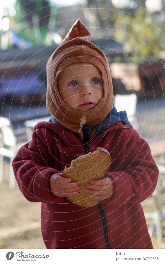 Little boy with big bread l slice of bread in hand looks excited, questioning, interested l with pointed cap into the world l Child Human being Face Boy (child)