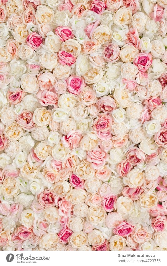 Flowers peonies and roses of cream white and pink colour palette on the  wall, floral wallpaper background for a wedding reception or romantic  event. Faux artificial flowers wall in pink colours. -
