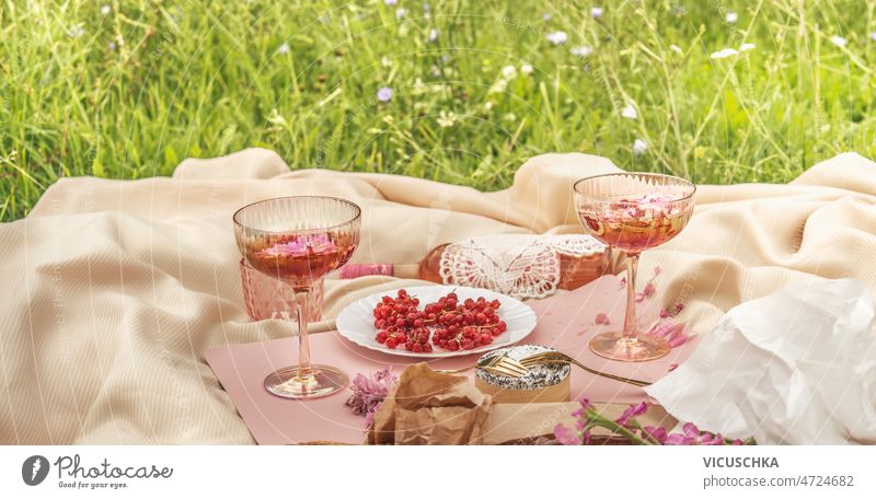Picnic with champagne glasses, wine, cheese and red currants at pale beige blanket on the grass. picnic outdoor idea food drink summer spring romantic activity