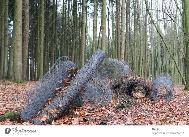 worn out - several large rolls of wire mesh lie in the forest Wire Wire netting Coil Forest Woodground foliage trees Junk Environmental pollution Winter Bleak