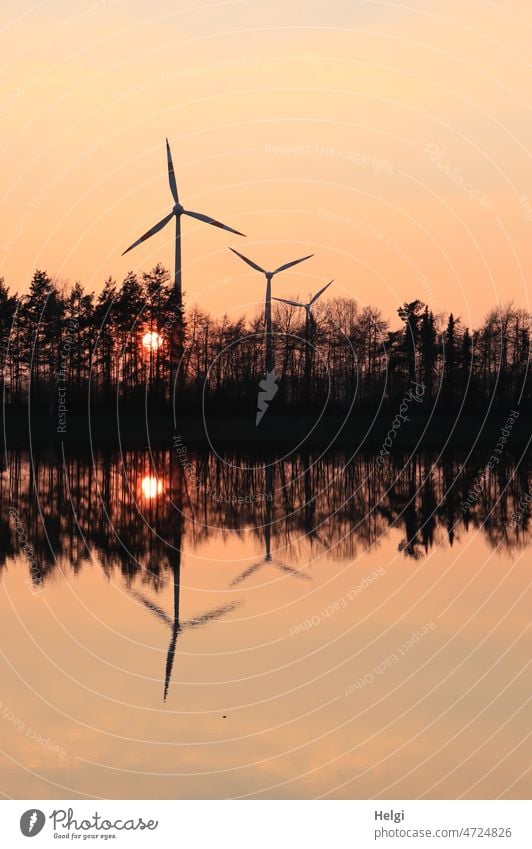 Evening mood at the lake with wind turbines, trees, setting sun and reflection in the water Pinwheel Wind energy plant Lake Sunlight evening mood Sunset Water