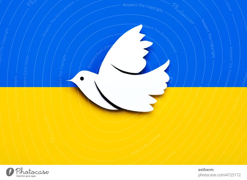 National flag of Ukraine background with a dove of peace. No war concept independence government world state europe Russia diplomacy donation help aid