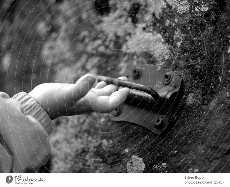 Child's hand on the stone child hand handle Fingers Stone Hand Boy (child) Nature Playing Infancy Children`s hand Detail Close-up Human being To hold on