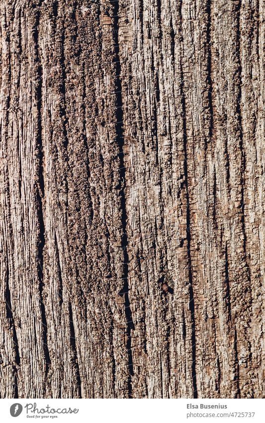 Bark, wood Wood bark structure Tree Old Nature Forest Brown naturally Environment Pattern background Detail Rough texture Close-up Material