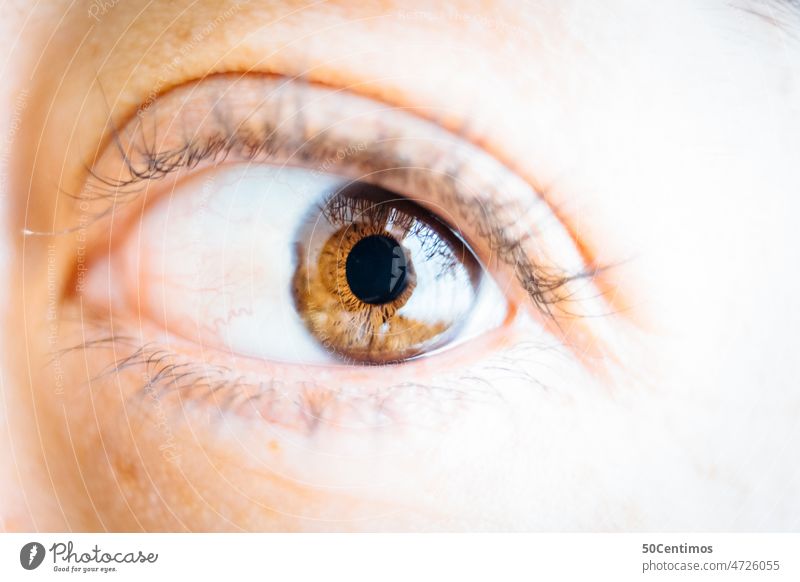 Our sensory organ eye Eyes Pupil Brown Close-up Macro (Extreme close-up) Eyelash Iris Human being Detail Woman Eyebrow Vision Senses