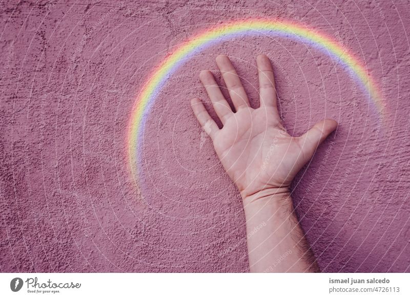 hand and rainbow in the pink walk, lgbt symbol wall colors colorful gay pride lgbt flag diversity tolerance open minded fingers palm body part wrist arm skin