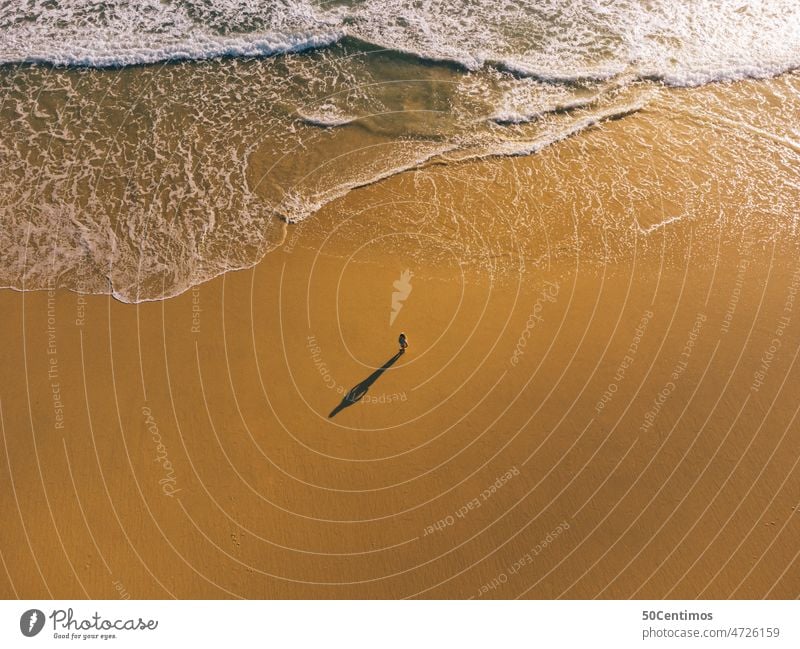 Alone on the beach - aerial view Flying Tall Waves Beautiful weather Sand Landscape Beach coastline colourful Adventure tranquillity Nature Far-off places Trip
