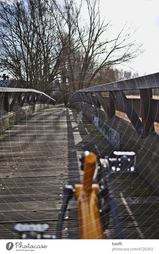 With the recumbent bike over a wooden bridge towards the sun Recumbent bike Bicycle Cycling Bridge Wooden bridge In transit Movement Driving Eco-friendly
