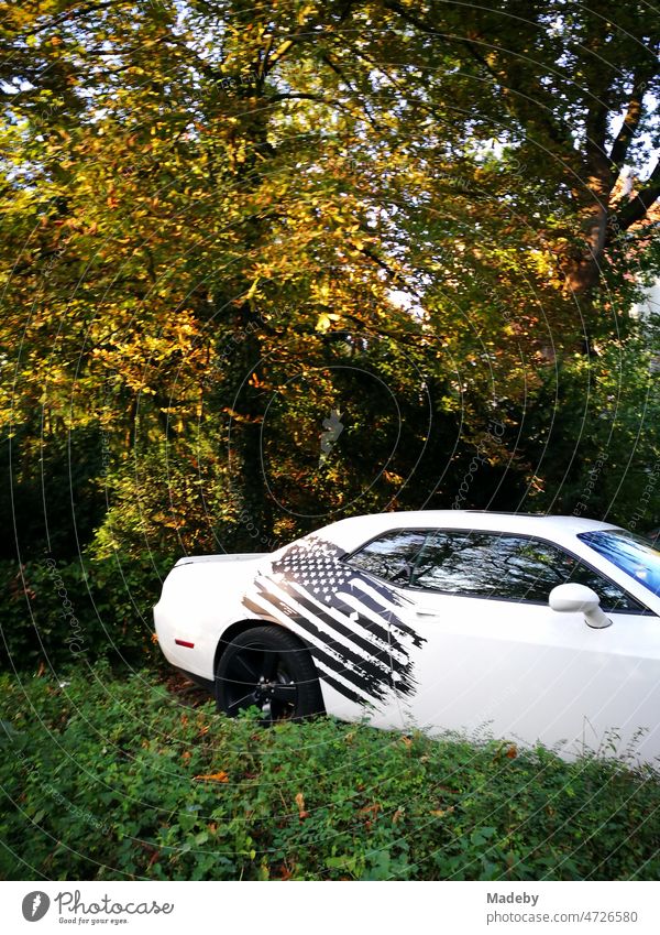 White American sports car with the Star-Spangled Banner in black on the side in sunshine in the green in Oerlinghausen near Bielefeld on the Hermannsweg in the Teutoburg Forest in East Westphalia-Lippe