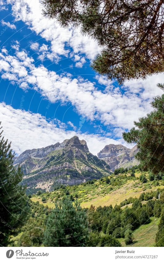 a mountain range framed with vegetation at the edges, on a summer day with a sky with cottony clouds, Pena Telera, Valle de Tena, Biescas, Huesca, Spain rocky