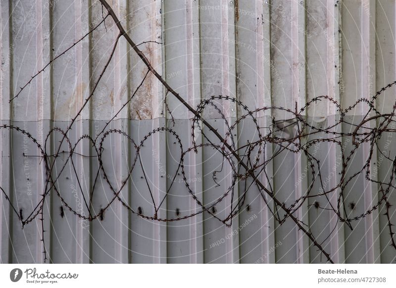 heartfelt - painful blocking Barbed wire heart-shaped no passage Safety Bans Barrier Fence Protection Barbed wire fence Border Threat Dangerous Captured Freedom