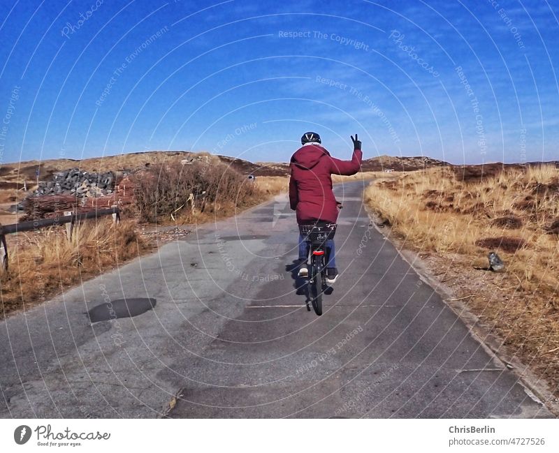 Cyclist from behind in nature cyclists Bicycle Cycling Street Transport Outdoors Speed Nature Lifestyle free time Wheel Movement