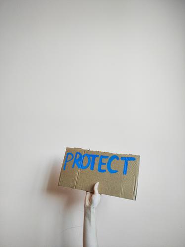 Hand holding cardboard sign with word protect Sign Cardboard Characters Protect Protest Demonstration protest Politics and state demonstrate Respect Solidarity