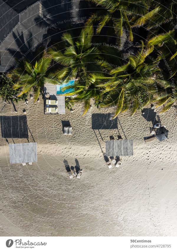 Vacation on the beach under palm trees - aerial view Sea water coast UAV view Aerial photograph Downward Exterior shot Ocean Colour photo Deserted
