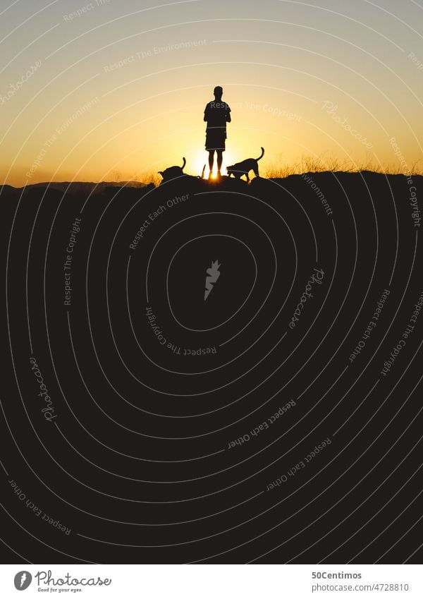 Silhouettes of dogs and masters at sunset Dog To go for a walk Trip Pet Exterior shot Landscape Sky Back-light Beautiful weather Sun Desert mountains